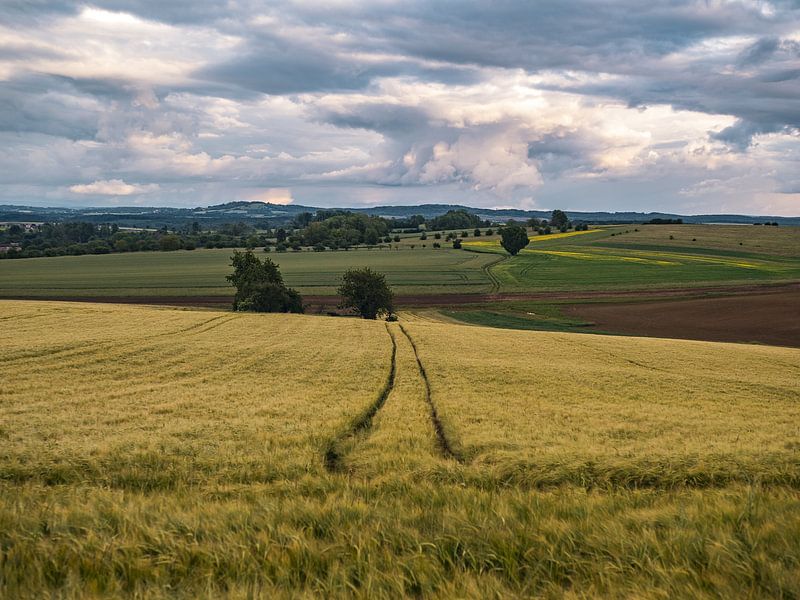 Landscape photo with fields and hills in the Vosges mountains by Martijn Joosse