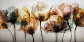 Une élégance florale aux nuances de couleurs sur Bert Nijholt