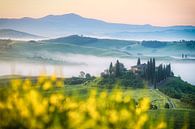 Italy Tuscany Podere Blevedere in Val d'Orcia with rapeseed and fog by Jean Claude Castor thumbnail