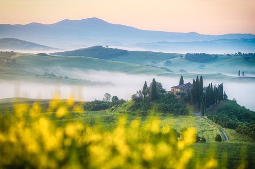 Italië Toscane Podere Blevedere in Val d'Orcia met koolzaad en mist