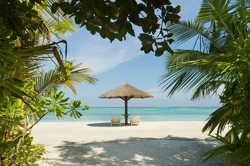 LPH 71076150 Sonnenliegen und ein Sonnenschirm am Strand einer Insel, Malediven von BeeldigBeeld Food & Lifestyle