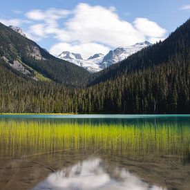 Provinzpark Lower Joffre Lake in British Columbia Kanada von Christien Brandwijk