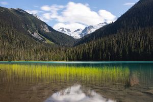 Provinzpark Lower Joffre Lake in British Columbia Kanada von Christien Brandwijk