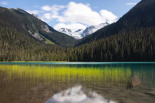 Parc provincial Lower Joffre Lake en Colombie-Britannique Canada sur Christien Brandwijk