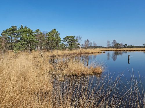 Idyllisch landschap in het Pietzmoor