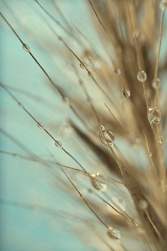 Abstract stukje natuur in turquoise, taupe en beige