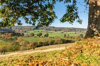 Herfstkleuren op de heuvels van Zuid-Limburg van John Kreukniet thumbnail