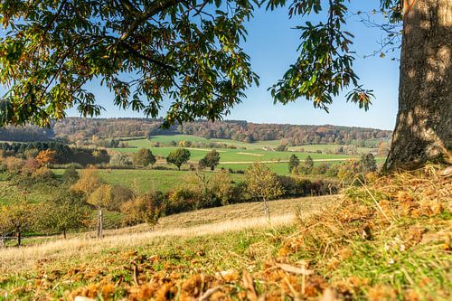 Herfstkleuren op de heuvels van Zuid-Limburg