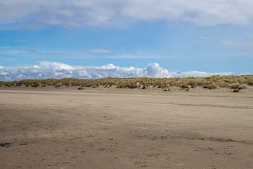Strand en duinen 's- Gravenzande van Martijn Aalbers