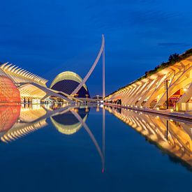 City of Arts and Sciences in Valencia, Spain by Adelheid Smitt