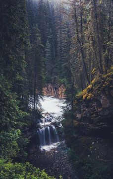 Herfst waterval van Loris Photography