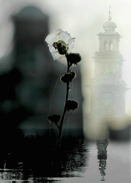 Amsterdam Prinsengracht / Westerkerk &amp; Malva von Marianna Pobedimova