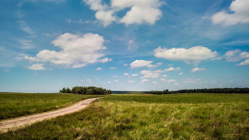 Veluwe sans fin par rosstek ®