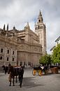 Catedral de Sevilla, Spanien von Kees van Dun Miniaturansicht