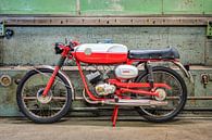 Benelli 50 von Wilde50er Miniaturansicht