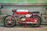 Benelli 50