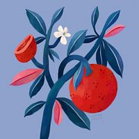 Grapefruit