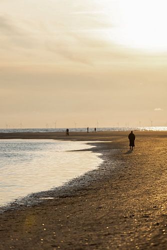 Avond aan het strand 1