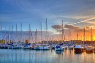 Grashaven Hoorn by Jan Siebring thumbnail