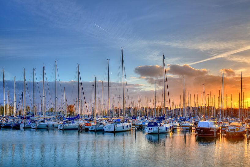 Grashaven Hoorn by Jan Siebring