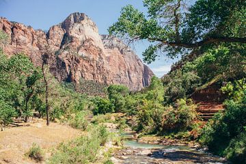 Parc national de Zion, Utah sur Patrycja Polechonska