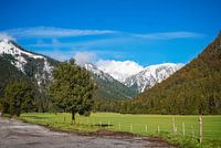 Snow-covered mountains and green meadows in Tirol