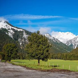 Schneebedeckte Berge und grüne Wiesen in Tirol von S Amelie Walter