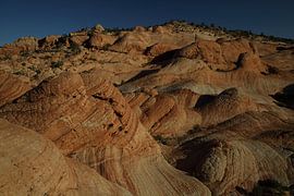 Yant Flat - Candy Cliffs - Cottonwood Forest Wilderness Utah USA