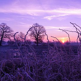 Sonnenaufgang bei Frost von Henk Schaap