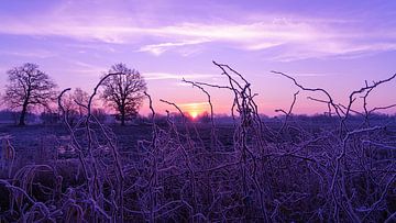 Sonnenaufgang bei Frost