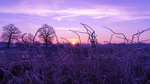 Sonnenaufgang bei Frost von Henk Schaap