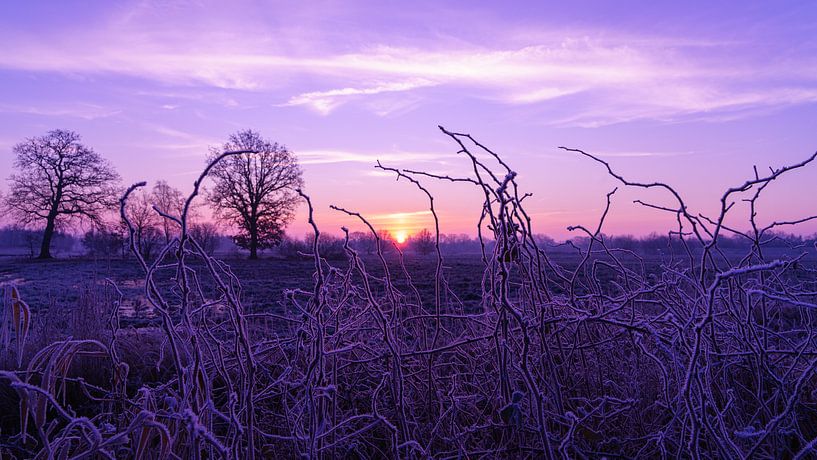 Sonnenaufgang bei Frost von Henk Schaap