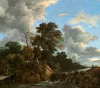 Landschaft, Jacob van Ruisdael von Liszt Collection Miniaturansicht