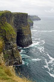 Cliff's of Moher - Irland