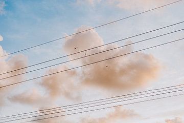 Costa Rica - Des oiseaux pour dormir sur Jordy Brada