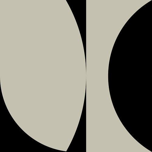 Zwarte geometrische vormen en lijnen nr. 2