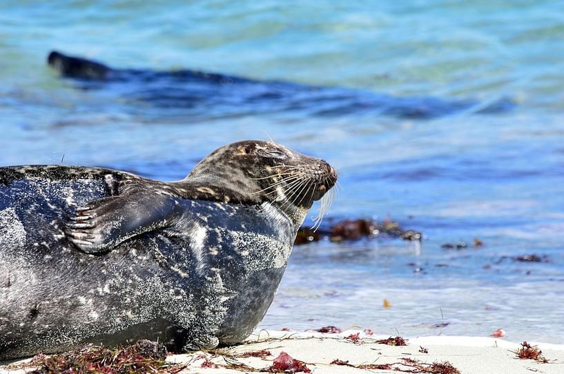 Dozing off by Frank's Awesome Travels