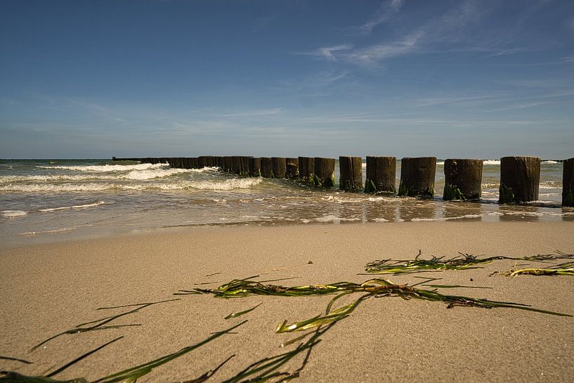 Kribben die in de Oostzee in Zingst reiken. van Martin Köbsch