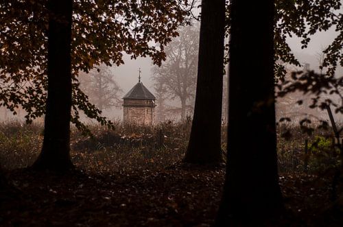 Duiventil in een duister bos