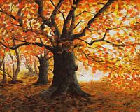 Boom in volle herfstpracht