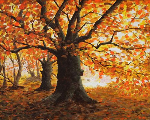 Tree in full autumn splendour