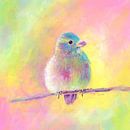 Süßer bunter Vogel Acrylgemälde quadratisch von Karen Kaspar Miniaturansicht