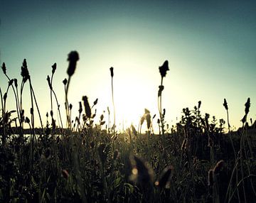 Zonsondergang aan de IJssel