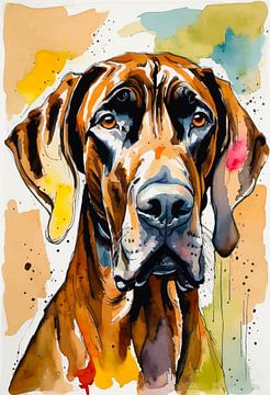 Deense dog aquarel van MIROKKU