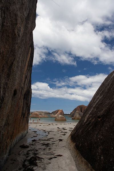 Olifantsrotsen van Eric van Duijn