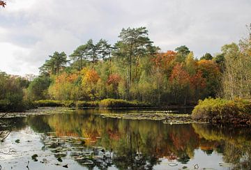 Flüsternde Moore von Foto Moments by M. J. Leenders