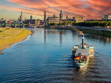 Stoomboot op de Elbe met de skyline van Dresden van Animaflora PicsStock