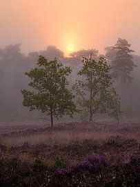 Under the veil of dreams by Nevelhart Photography