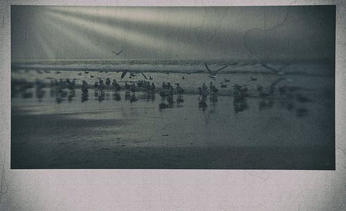 zonnestralen op het avondstrand van Erik Reijnders