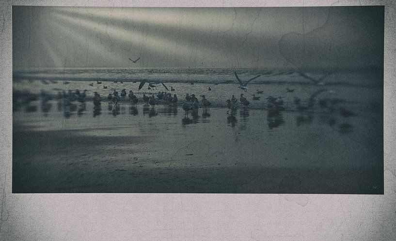 zonnestralen op het avondstrand van Erik Reijnders